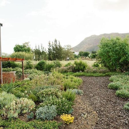 Vineyard Views Country House รีบีค คาสตีล ภายนอก รูปภาพ