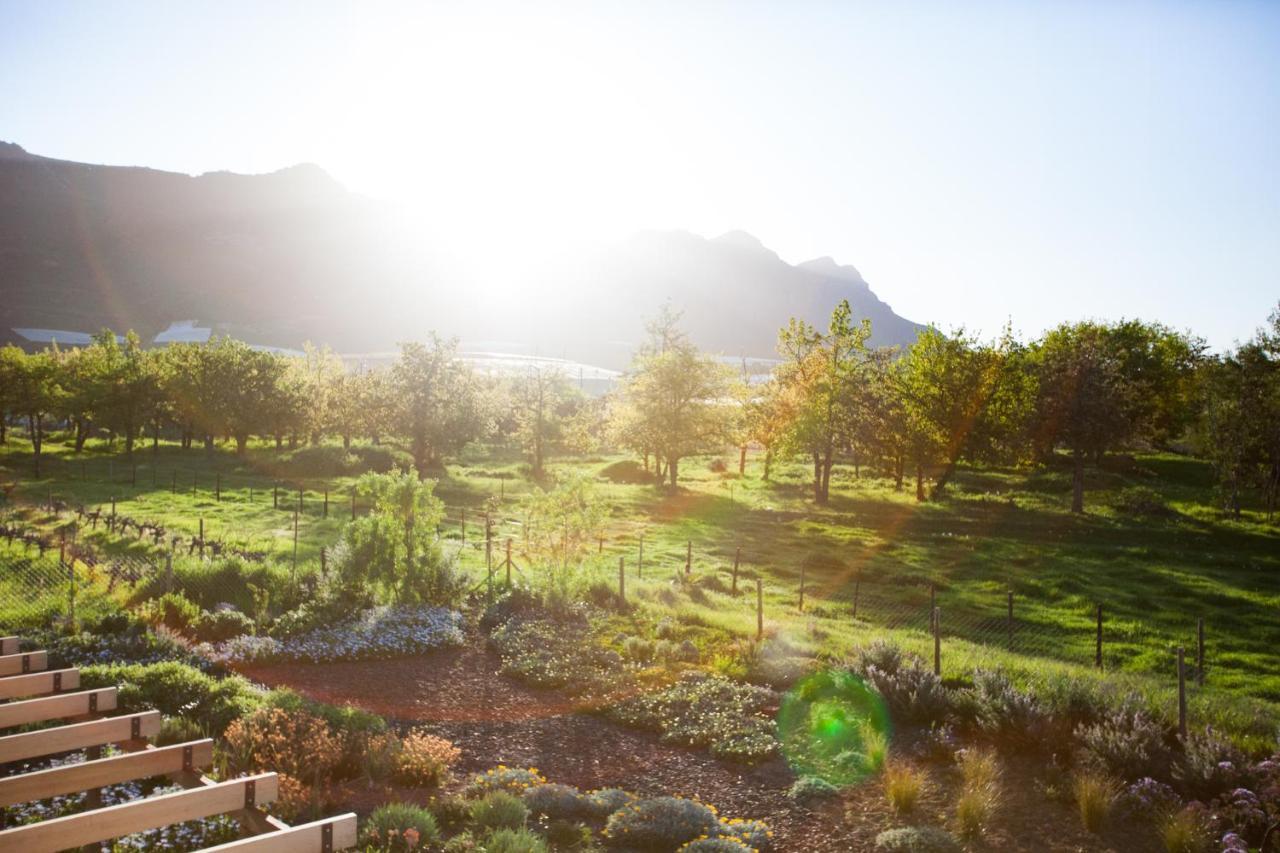 Vineyard Views Country House รีบีค คาสตีล ภายนอก รูปภาพ